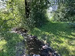 Wipper im Quellgebiet