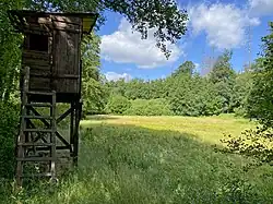 Extensiv gepflegte Feuchtwiese im oberen Teil des NSG