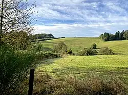 Quellgebiet (Mulde) des Fahnberger Baches