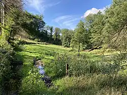 Lichtung am Oberlauf des Harthbaches
