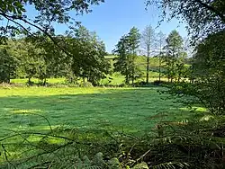 Purder Bach von Erlen begleitet