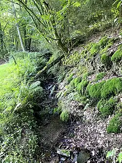 Kohlensiefen – kleiner linker Nebenbach des Purder Baches