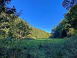 Auwiese – Brebach fließt am Waldrand