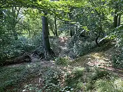 Geländeformation auf dem Gallberg