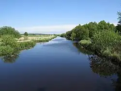 Die Geeste im NSG nördlich Wehdel