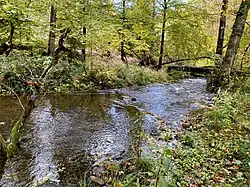 Hasper Bach nahe Einmündung Hemker Bach