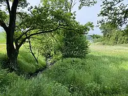 Hardenberger Bach bei Schmürsches