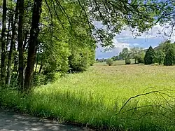 Junkersbeck fließt begleitet von Ufergehölz durch Weiden