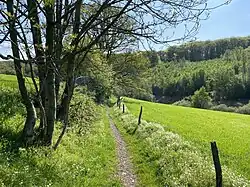 Weg von Niedersondern in das NSG