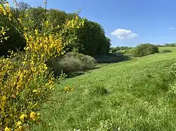 NSG Hengstener Bachtal