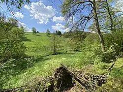 Offenes Wiesenbachtal im Mittellauf