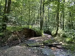 Sandbach – naturnah mäandernd