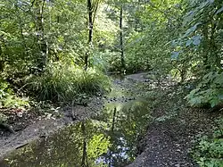 Sandbach an der Einmündung des Krebsbaches bei Kesselsweier