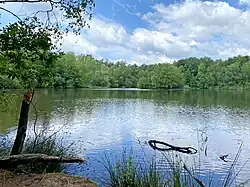 NSG Hilgener Ziegeleiloch