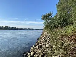 steiler Prallhang des Rheins im Süden des NSG