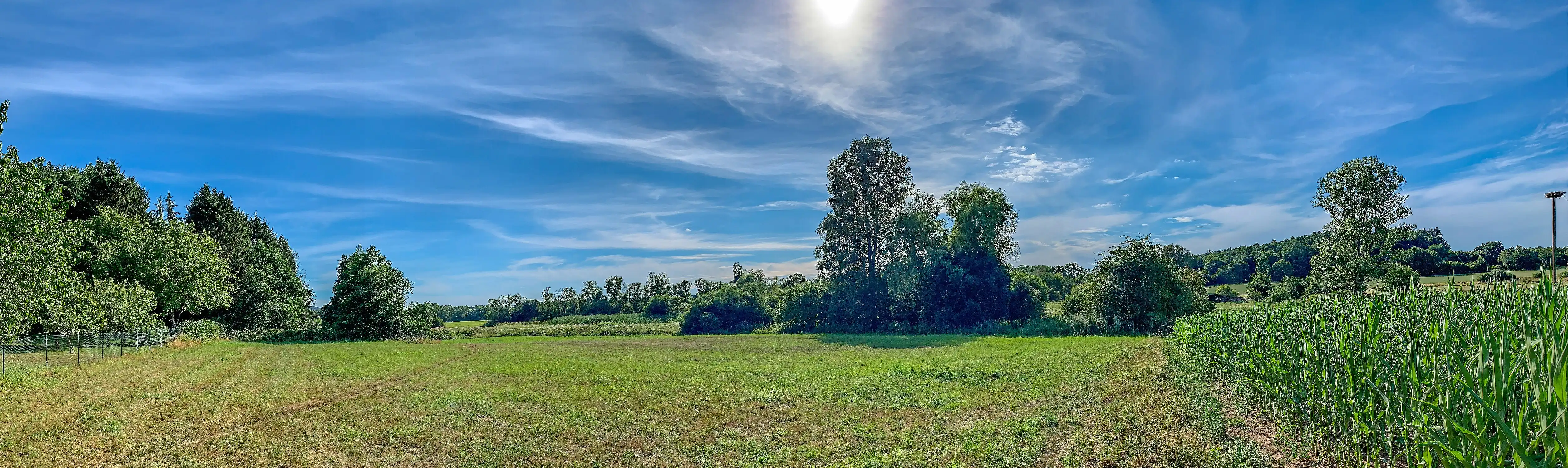Panorama des Naturschutzgebietes Kühnbruch. Am rechten Bildrand ist das Storchennest zu erkennen.