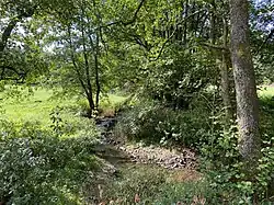 Kierspe am Loherhammer