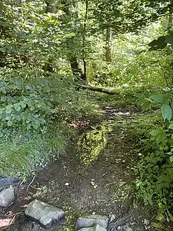 Wanderweg quert den Oberlauf des Kollenbaches