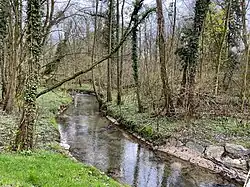 Wiembach an der Neukronenberger Straße