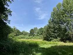 Landschaftsmosaik aus offenen Wiesen, Hecken und Wald