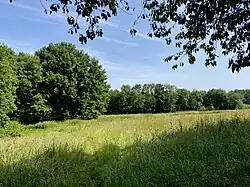 Untere, östliche große Wiesenfläche, umrahmt mit Hecken und Wald