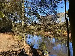 Wupperweg am rechten Ufer der Wupper im NSG Wupper