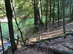 Mittellauf des Leiverbaches