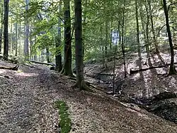 Bachtal des Leiversiepens