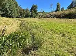 Talwiese nordöstl. Kormannshausen