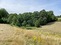 Am Heidbusch – östl. Teil des NSG