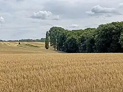 Hochfelder Bachtal mit Quellmulde im Nordosten