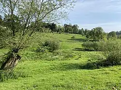 Feuchtwiese mit quelliger Stelle