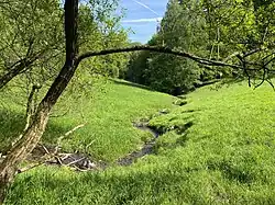 Naturnaher Bachverlauf