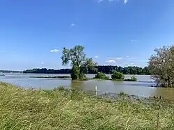 Rheinufer bei Hochwasser