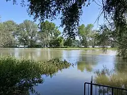 Hochwasser-Vogelparadies in der Rheinaue Zons