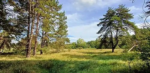 Abschnitt NSG Napoleonsberg