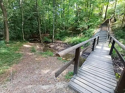 Bachquerung am Oberlauf