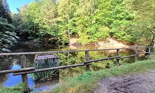 Fischteich am Oberlauf