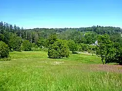 Magerwiese im NSG Orchideenwiese Heintjeshammer