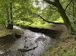 Scharfer Richtungswechsel des Purder Baches