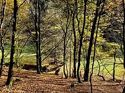 Purder Bachtal im Herbst