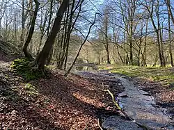 Stauteich Steffenshammer