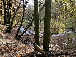 Naturnaher Verlauf des Eschbaches