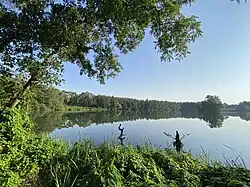 Blick von Westen über den See