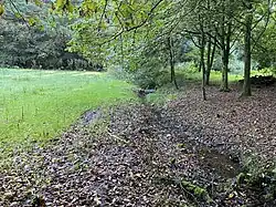 Ein rechter Nebenarm mündet am südl. Ende des NSG in den Burgheimer Bach (hinten) – rechts grenzen 2 Teiche an (schon außerhalb des NSG)