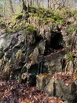 Quelle im Wupperhang