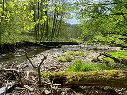 Hochwasserereignisse prägen den Eschbach im Naturschutzgebiet