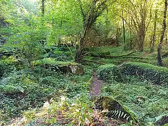 Alte bemooste Steinquader