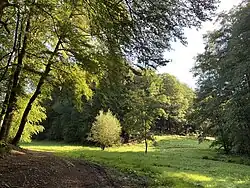 Dörpfelder Bach mündet in Strucksfelder Bach