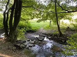 Der Weyerbach fließt entlang der Westseite des NSG